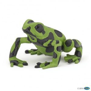 Papo - Equatorial green frog
