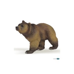 Orso dei Pirenei marrone