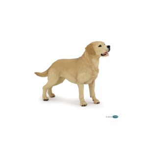 Labrador cane